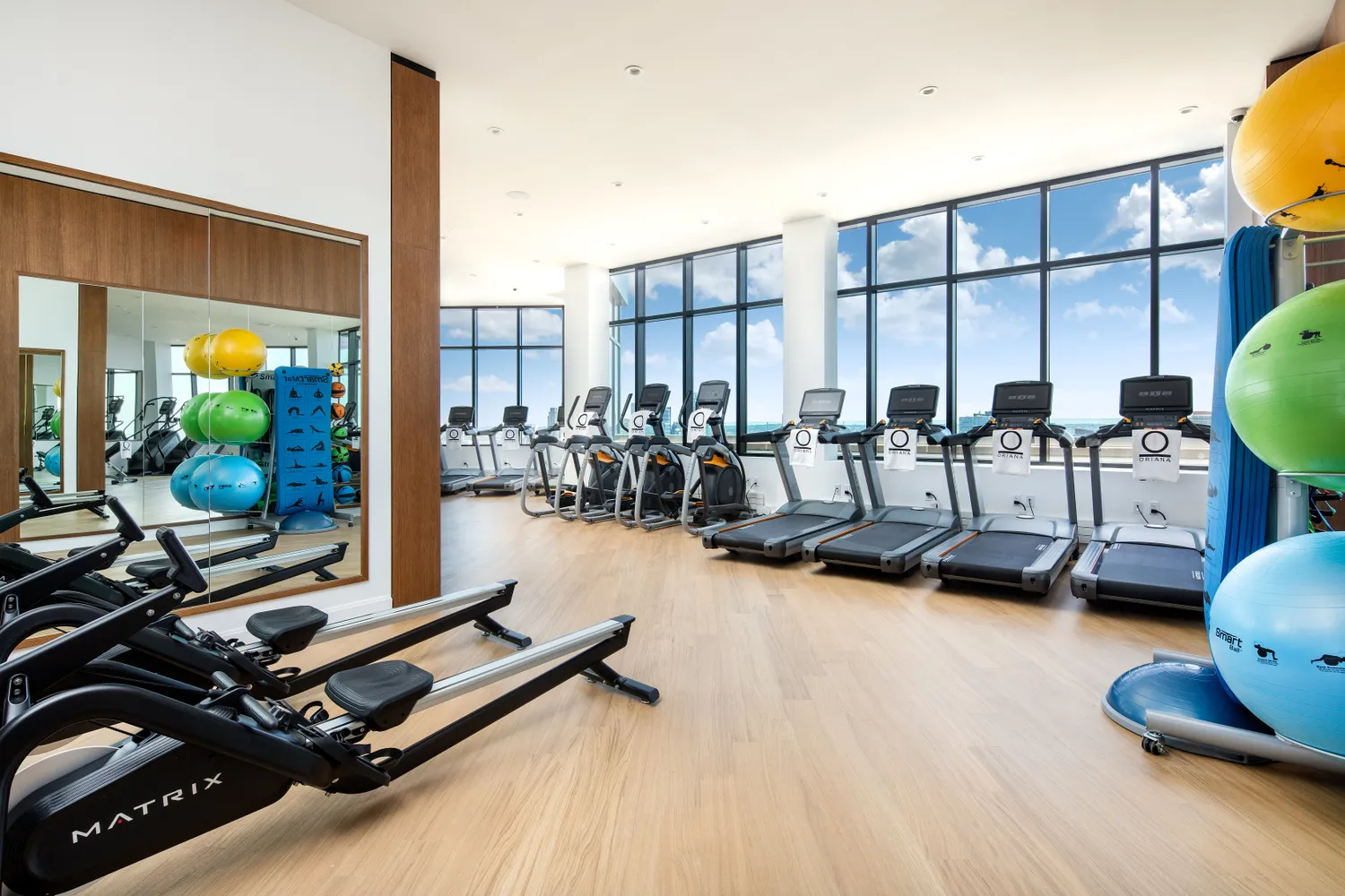 The Oriana — fitness center with treadmills, ellipticals, and floor-to-ceiling sky views